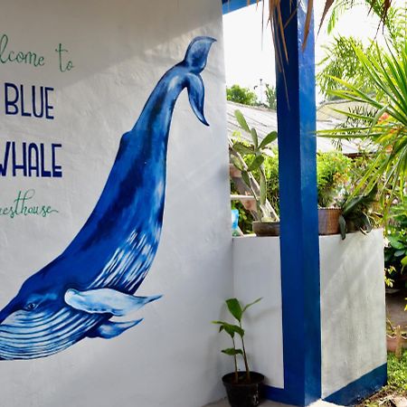Blue Whale Guesthouse Гили Траванган Экстерьер фото